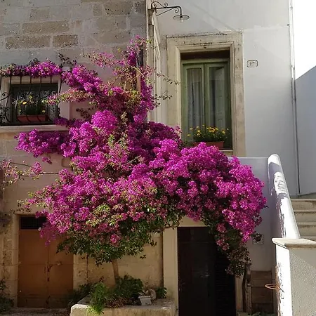 C'era Volta Casa de hóspedes *